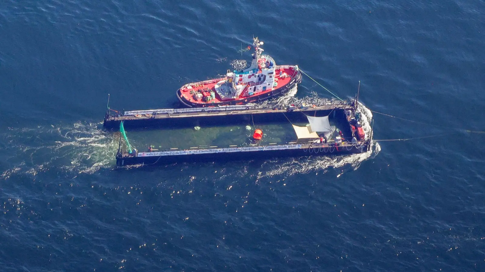 Das Transportschiff mit dem Wal ist seit mehreren Tagen unterwegs. (Foto: Christoph Reichwein/dpa)