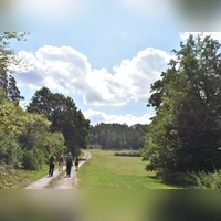 Das erste Stück der rund acht Kilometer langen Strecke führt auf einem geschotterten Weg sanft bergauf. (Foto: Ute Niephaus )