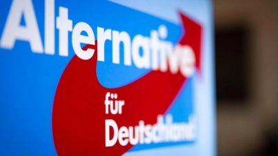 Unbekannte haben E-Mail-Konten der AfD angegriffen (Foto: Christoph Reichwein/dpa)