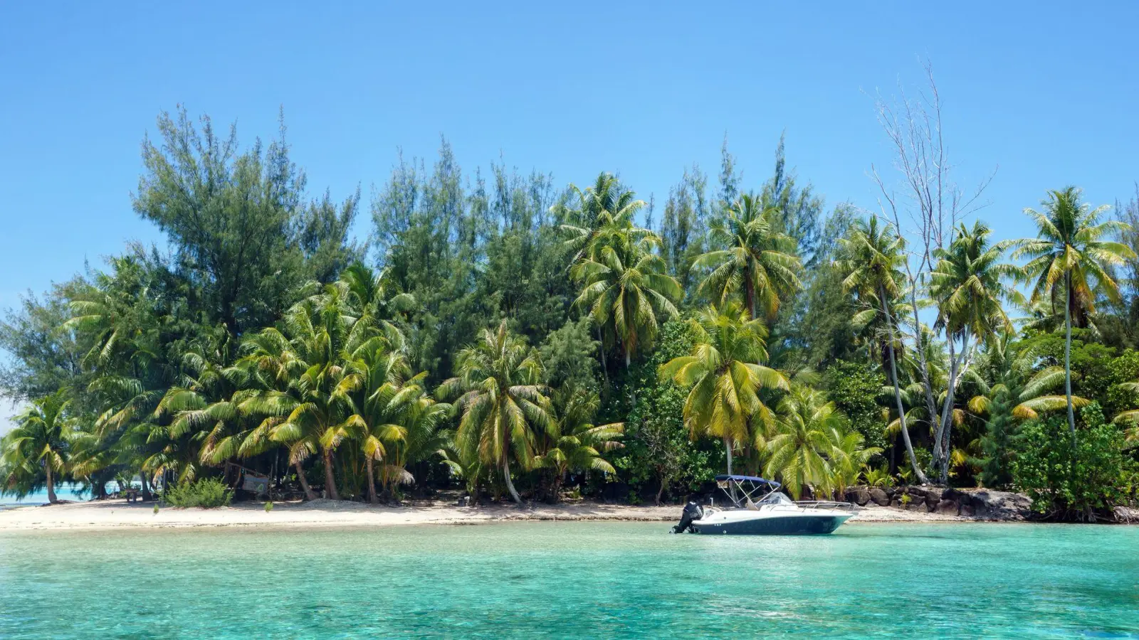 Einmal Bora Bora und zurück: Wer sich einen solchen Reisetraum erfüllen möchte, muss den Geldbeutel in der Regel ziemlich weit öffnen. (Foto: Philipp Laage/dpa-tmn)