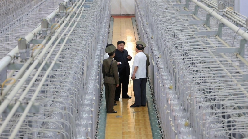 Nordkoreas Machthaber Kim lässt sich gern vor eindrucksvollen Kulissen fotografieren. (Archivfoto) (Foto: Uncredited/KCNA/KNS/dpa)