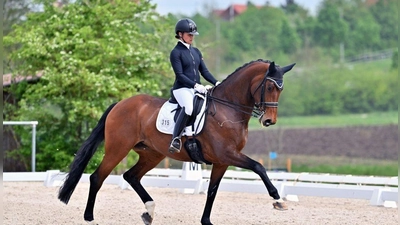 Nicole Grosch vom RFV Casteller Land gewann zwei Prüfungen bei den Dressurtagen. (Foto: OneKlickFoto)