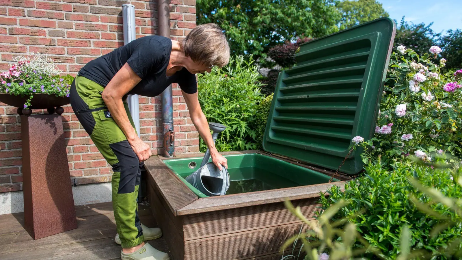 Die Morgen- oder Abendstunden sind die besten Zeiten, um Garten- und Balkonpflanzen zu gießen. (Foto: Benjamin Nolte/dpa-tmn)