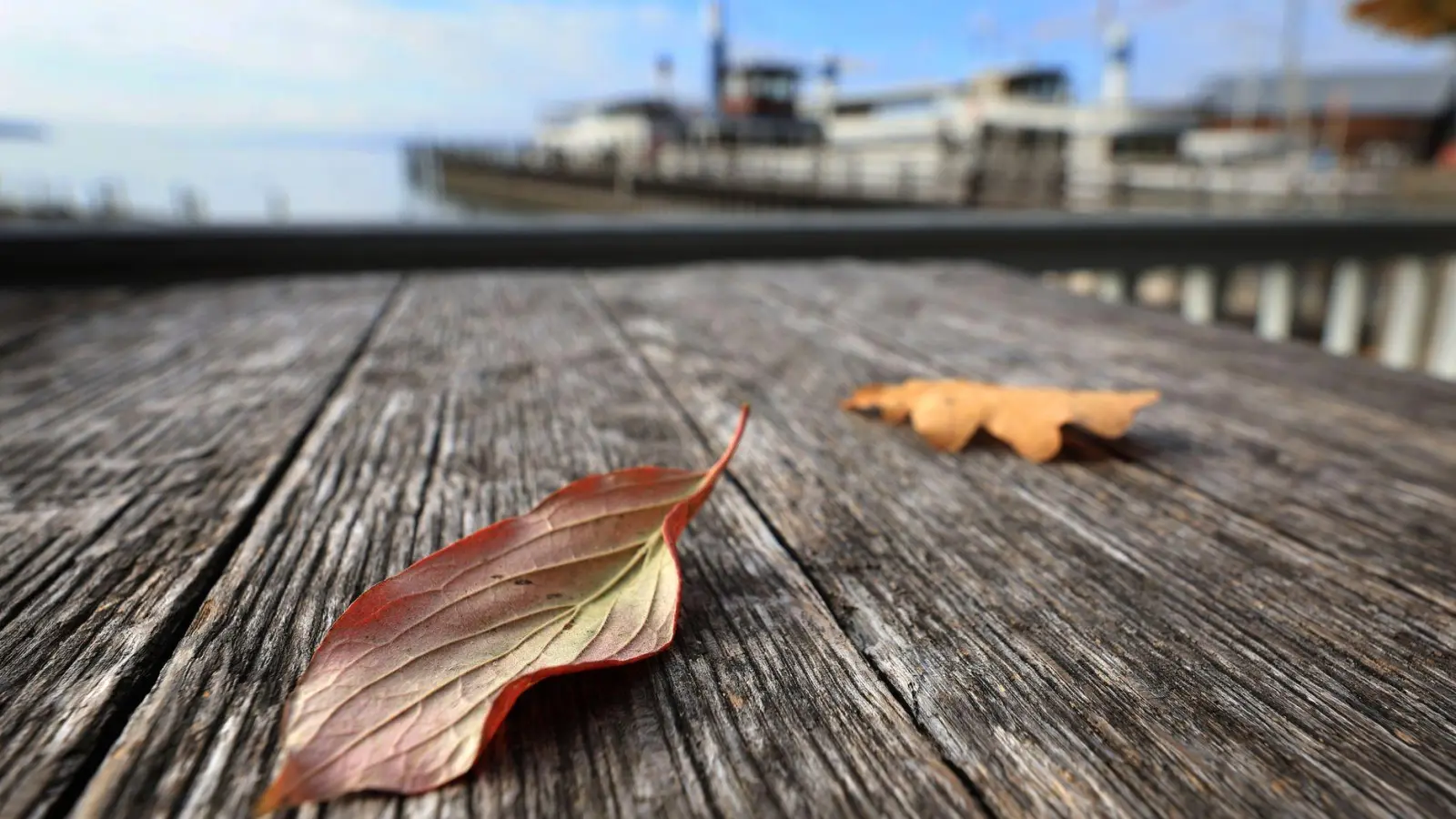 Milde Temperaturen erwartet der Deutsche Wetterdienst in den nächsten Tagen. (Archivbild) (Foto: Karl-Josef Hildenbrand/dpa)