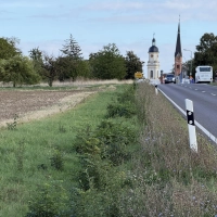 Um diese historisch geplante Blickachse aus der Markgrafenzeit fürchtet die Uffenheimer Bürgerliste, wenn das Lidl-Projekt so umgesetzt werden sollte, wie es aktuell geplant ist. (Foto: Sylvia Fehlinger)