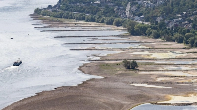 Folge des ungewöhnlich heißen Sommers: Der Rhein führt extrem wenig Wasser. (Foto: Boris Roessler/dpa)