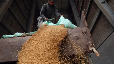 Afrika fehlen Millionen Tonnen Weizen. (Foto: Ahmed Gomaa/Xinhua/dpa)