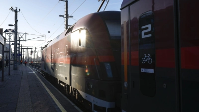 Der Railjet wurde so stark beschädigt, dass er nicht mehr weiterfahren konnte. (Symbolbild) (Foto: Erwin Scheriau/APA/dpa)