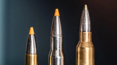 Jagdpatronen im Kaliber 308 Winchester (l-r), 30-06 Springfield und 300 Winchester Magnum stehen bei einem Jäger auf einem Waffenschrank. (Symbolbild) (Foto: Silas Stein/dpa)