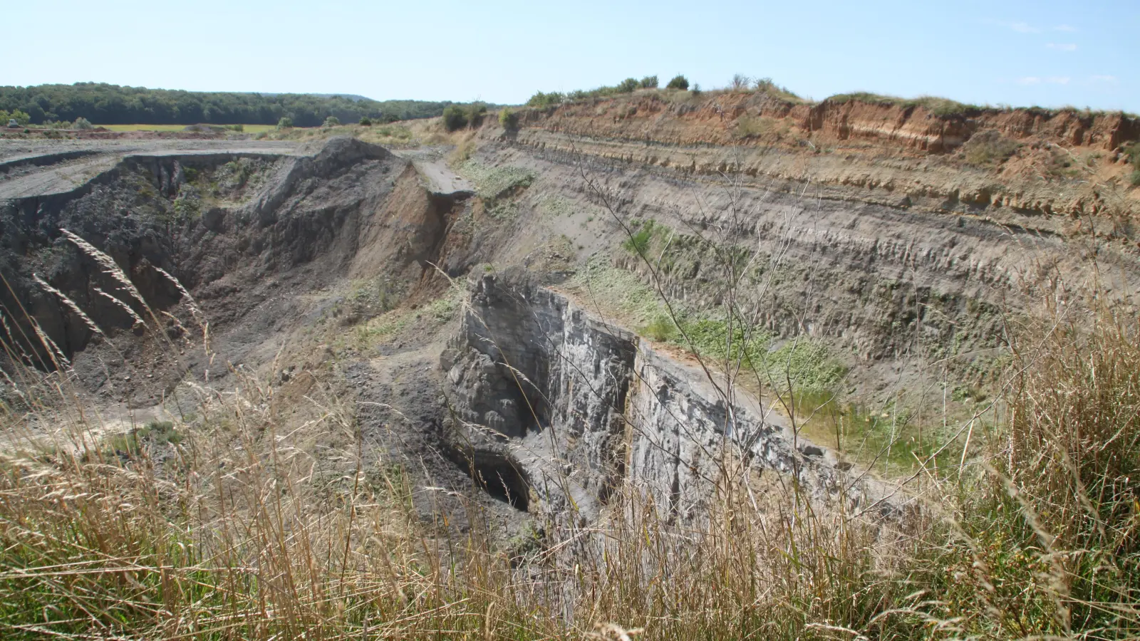 Oberhalb der hier zu sehenden westlichen Wand des Steinbruchs verläuft die Verbindungsstraße. (Foto: Hans-Bernd Glanz)