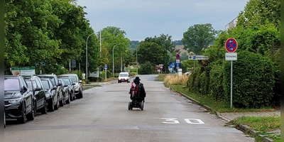 Die Planungen laufen, damit auch Rollstuhlfahrerinnen und Rollstuhlfahrer die Landesgartenschau in Bad Windsheim ungehindert besuchen können. (Archivbild: Nina Daebel)