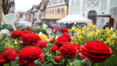 Autoscooter, Feierei im Festzelt oder Trödelmarkt: Auf dem Frühlingsfest und dem Ostermarkt in Bad Windsheim ist das Angebot groß. (Foto: Hans-Bernd Glanz)