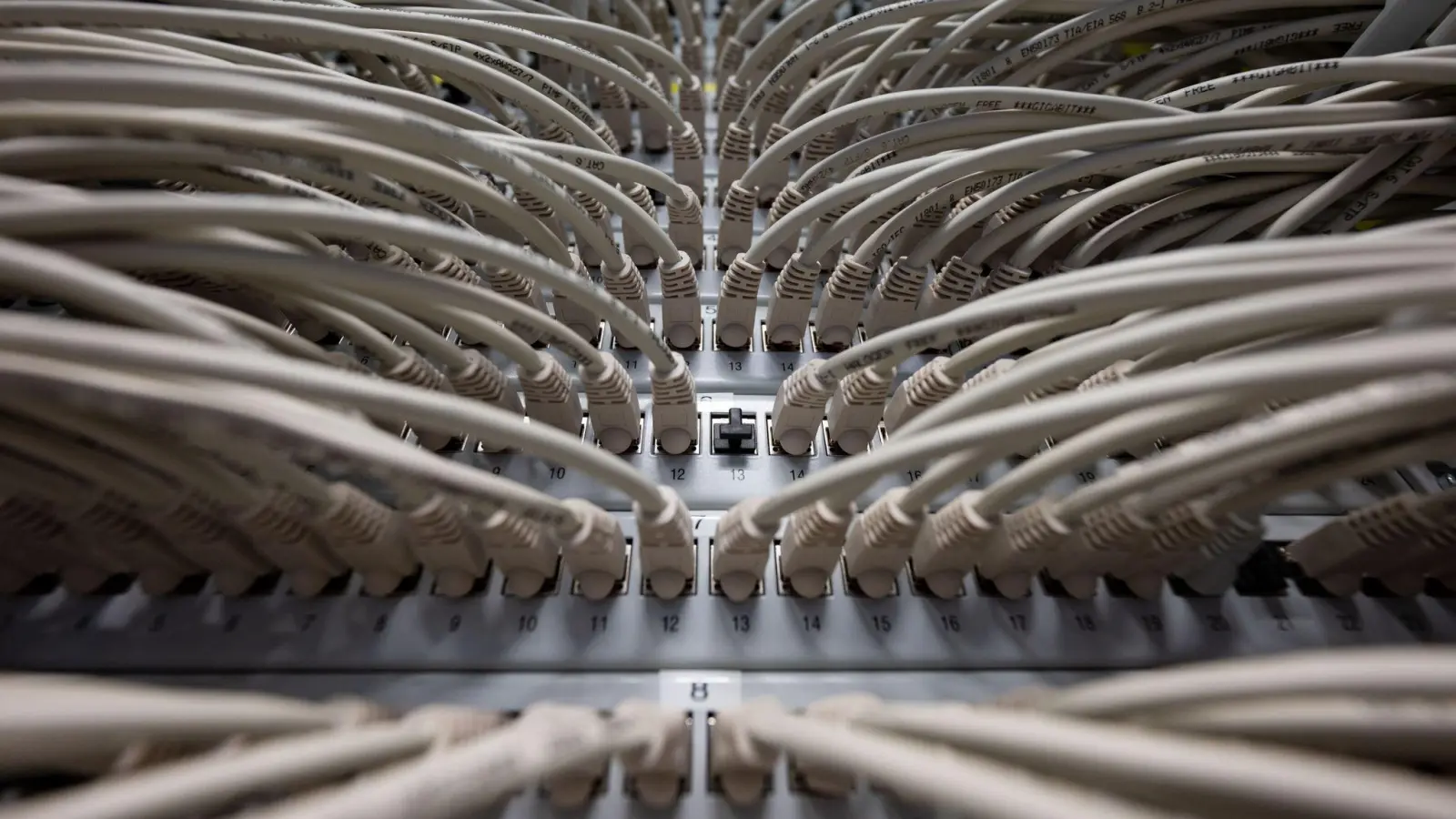 Netzwerkkabel in einem Rechenzentrum. (Foto: Marijan Murat/dpa/Symbolbild)