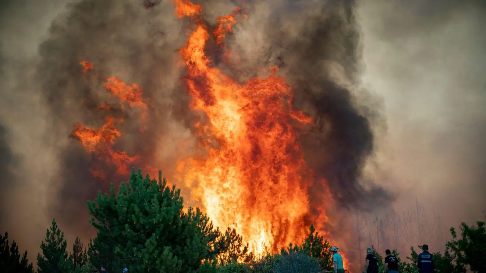 Wie oft im Sommer bei Extremhitze wüten wieder Waldbrände in Nordmazedonien. (Archivbild) (Foto: -/NÖLFK/dpa)