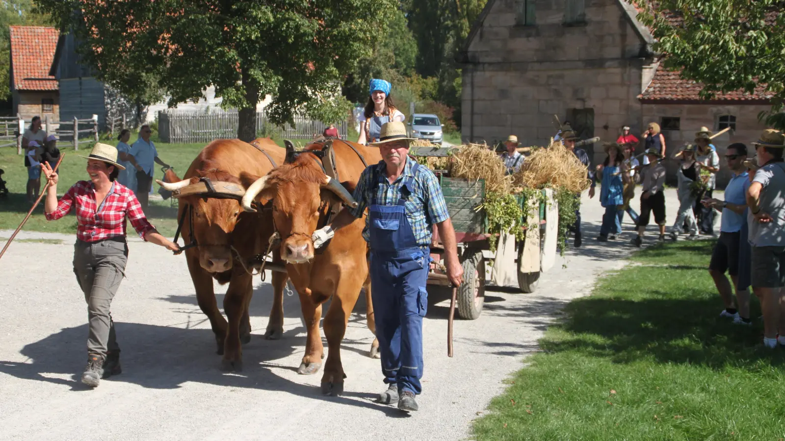 Ohne die Tiere des Freilandmuseums kein Herbstfest. Die Landwirte wichen ihnen nicht von der Seite.  (Foto: Hans-Bernd Glanz)