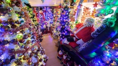 Hunderte Weihnachtsbäume finden in einem Haus in Niedersachsen Platz (Archivbild). (Foto: Julian Stratenschulte/dpa)