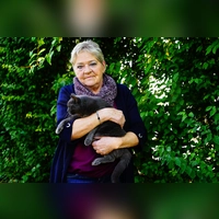 Die Katze Emma ist eines der vielen Tiere, die bei Karin Hartmann Unterschlupf gefunden haben. (Foto: Simone Hedler)