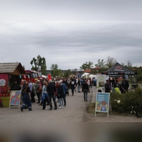 Beim Baustellenfest der Landesgartenschau nutzten Interessierte die Chance, einen Blick auf das Gelände zu werfen. (Foto: Alexander Rausch)