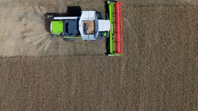 Die Getreideernte in Bayern fällt dieses Jahr schlecht aus – den Pflanzen fehlte Wasser. (Symbolbild) (Foto: Sven Hoppe/dpa)
