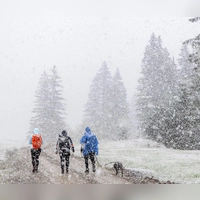Bis zu 20 Zentimeter Neuschnee sollen am Samstag in Teilen der bayerischen Alpen fallen. (Archivbild) (Foto: Jan Eifert/dpa)