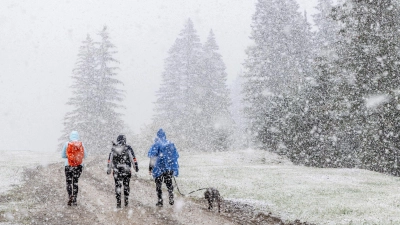 Bis zu 20 Zentimeter Neuschnee sollen am Samstag in Teilen der bayerischen Alpen fallen. (Archivbild) (Foto: Jan Eifert/dpa)