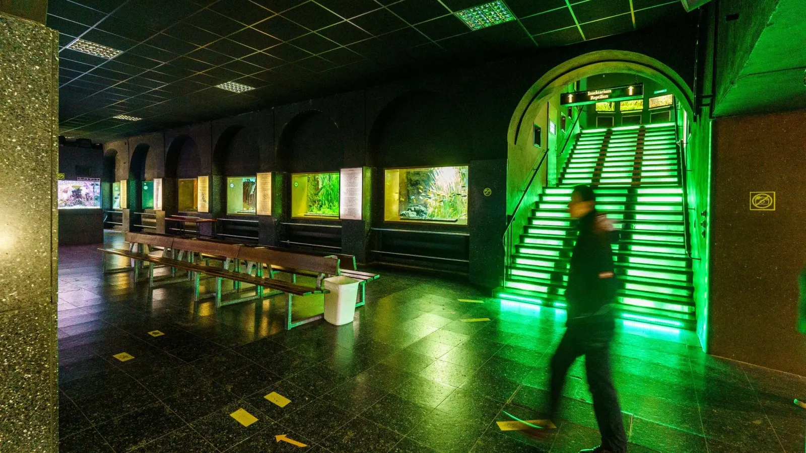 Ein Besucher geht durch das Exotarium. Der Zoo der Mainmetropole hat mit steigenden Eneriekosten zu kämpfen. (Foto: Andreas Arnold/dpa)