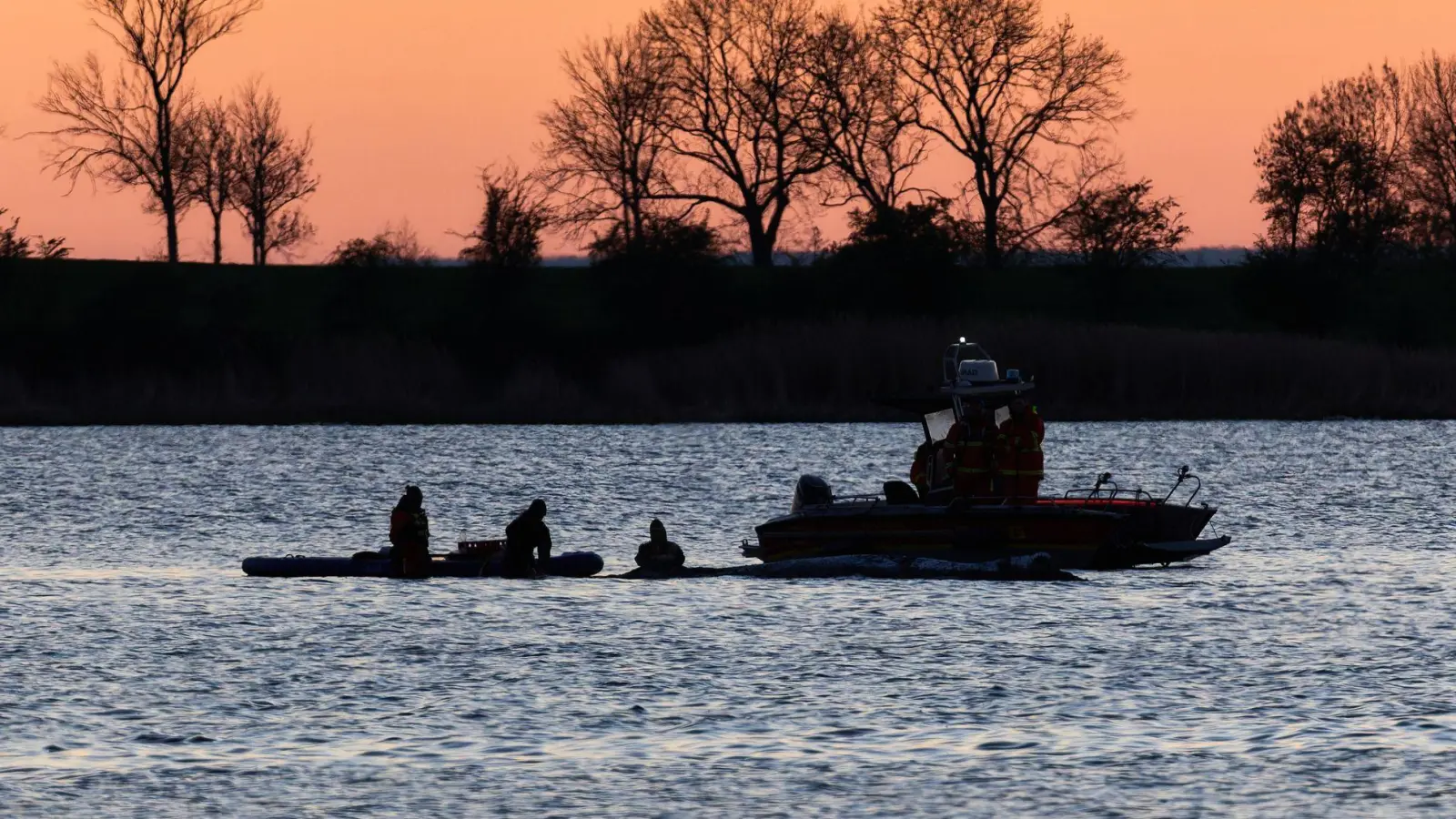 Retten oder nicht retten? Beim Umgang mit dem Wal sind viele Fragen offen. (Foto: Marcus Golejewski/dpa)