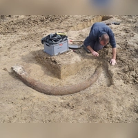 Das in Bayern entdeckte Mammut gibt Aufschluss auch über die Lebensweise der Steinzeitmenschen. (Handout)  (Foto: --/Bayerisches Landesamt für Denkmalpflege /dpa)