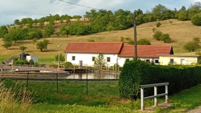 Die städtische Kläranlage bleibt ein zentrales Thema im Schillingsfürster Stadtrat. Weitere Entscheidungen über das künftige Konzept und die Finanzierung stehen in den kommenden Sitzungen an. (Foto: Susanne Landgraf)