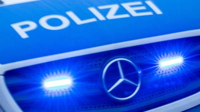 Im Fußraum des Autos fand die Polizei einen Karton mit den zwei Welpen. (Symbolbild) (Foto: Jens Büttner/dpa)