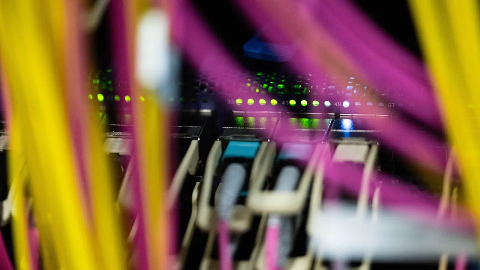 Die EU möchte sich beim Thema KI aus der Abhängigkeit von den USA und China befreien. (Symbolbild) (Foto: Marijan Murat/dpa)