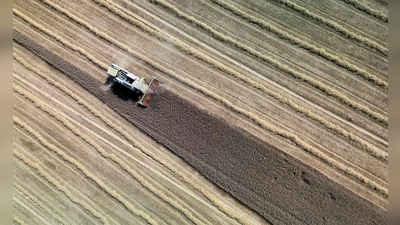 Land- und Forstwirtschaft könnten ihren Beitrag zur Klimaneutralität laut einer Studie in den nächsten Jahrzehnten deutlich steigern. (Archivbild)  (Foto: Andreas Arnold/dpa)