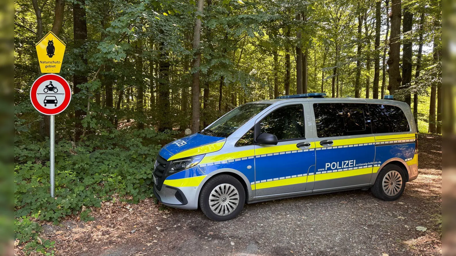 Nach dem Fund eines menschlichen Torsos sucht die Polizei rund um den Fundort in einem Waldstück nach Spuren. (Foto: Birgitta von Gyldenfeldt/dpa)