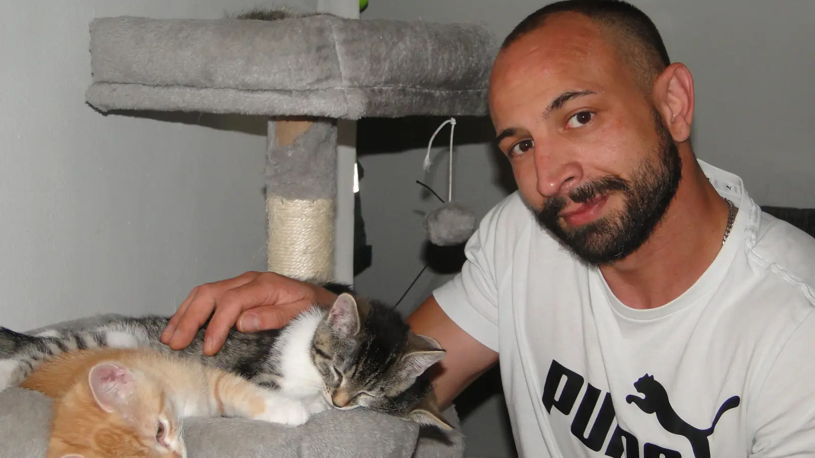 Thomas Kastner (39) trauert um seine Katze „Engelchen“, die ein Unbekannter mit einem Luftgewehr erschossen hat. Zwei von „Engelchens“ Kindern wird er behalten. (Foto: Winfried Vennemann)