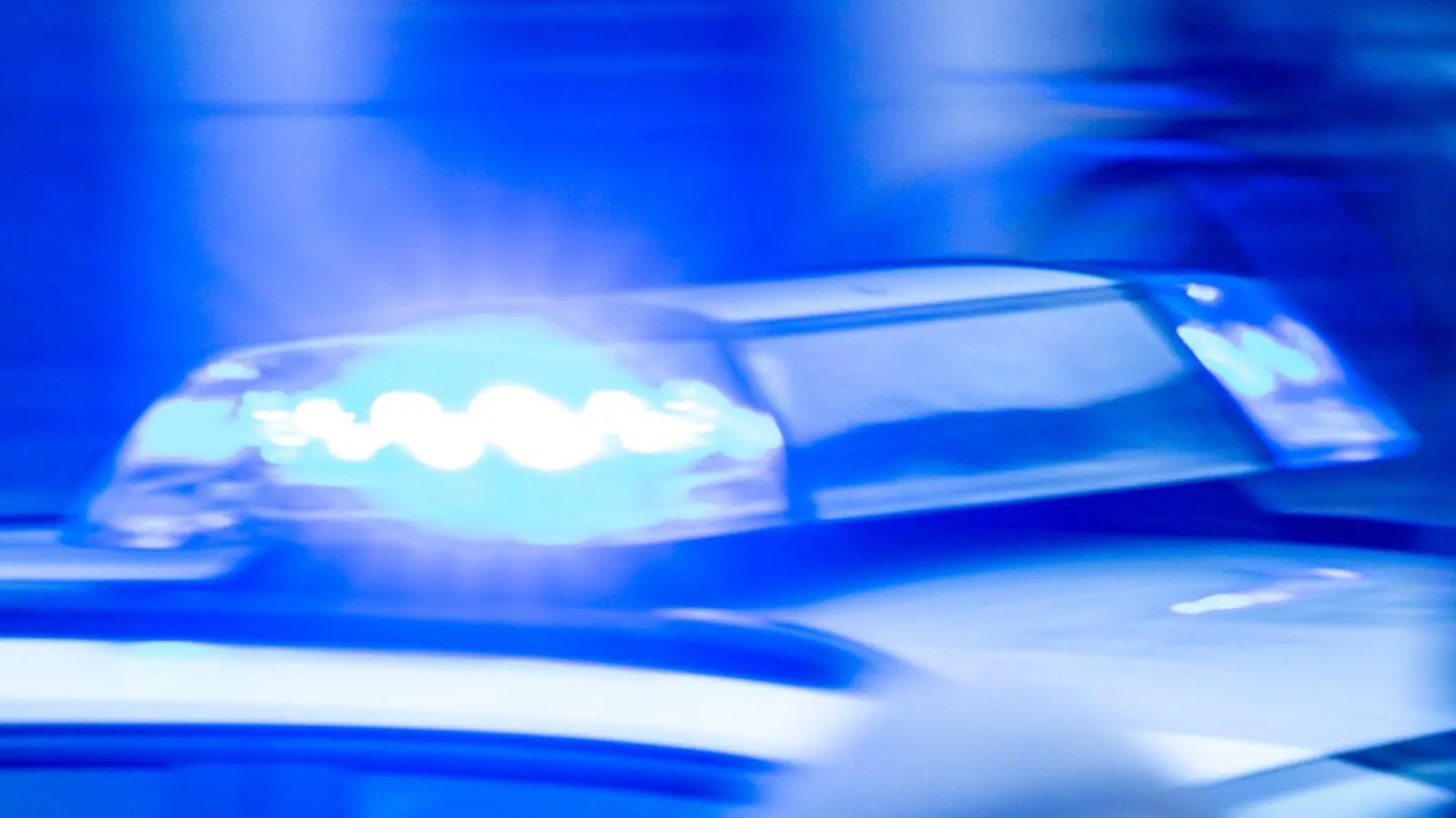 Die Polizei überwältigte und fesselte den Mann. (Symbolbild) (Foto: Jens Büttner/dpa)
