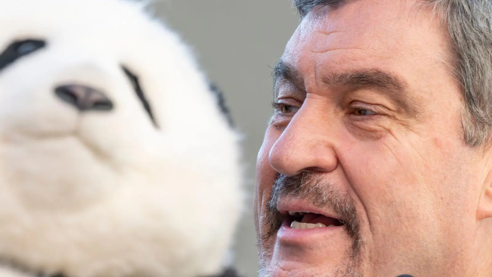 Noch hat Söder (r) nur einen Plüschbären in seinem Büro, doch spätestens 2028 soll es echte Tiere in München geben. (Foto: Peter Kneffel/dpa)