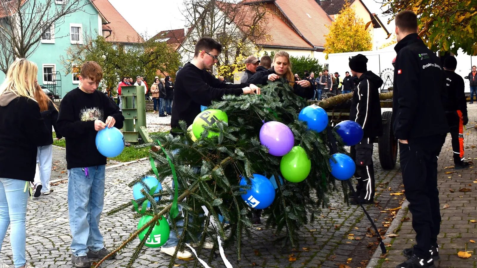 Der Kerwabaum wird am Samstag geschmückt und aufgestellt.  (Foto: Gudrun Schwarz-Köhler)