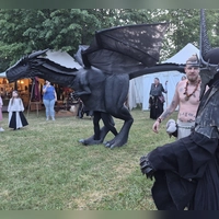 Spezielles Mittelalter-Maskottchen: Der Drache Nimra war während der Markttage ein ständiger Hingucker. (Foto: Margit Schwandt)