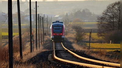 Die Aischgrundbahn ist im Mai für zweieinhalb Tage gesperrt. Stattdessen werden Busse eingesetzt. (Foto: Johannes Hirschlach)