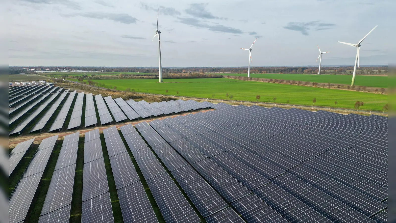 Erneuerbare Energien werden in diesem Jahr laut einer Hochrechnung knapp 56 Prozent des Stromverbrauchs decken. (Symbolbild) (Foto: Jan Woitas/dpa)