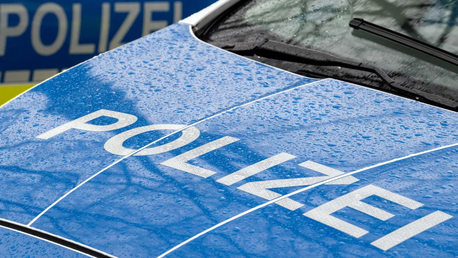 Was den Anlass für die Aktion gab, blieb zunächst offen. (Symbolfoto) (Foto: Soeren Stache/dpa)