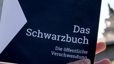 Dieses Jahr geht es besonders um staatliche Förderprogramme. (Archivbild) (Foto: Britta Pedersen/dpa)