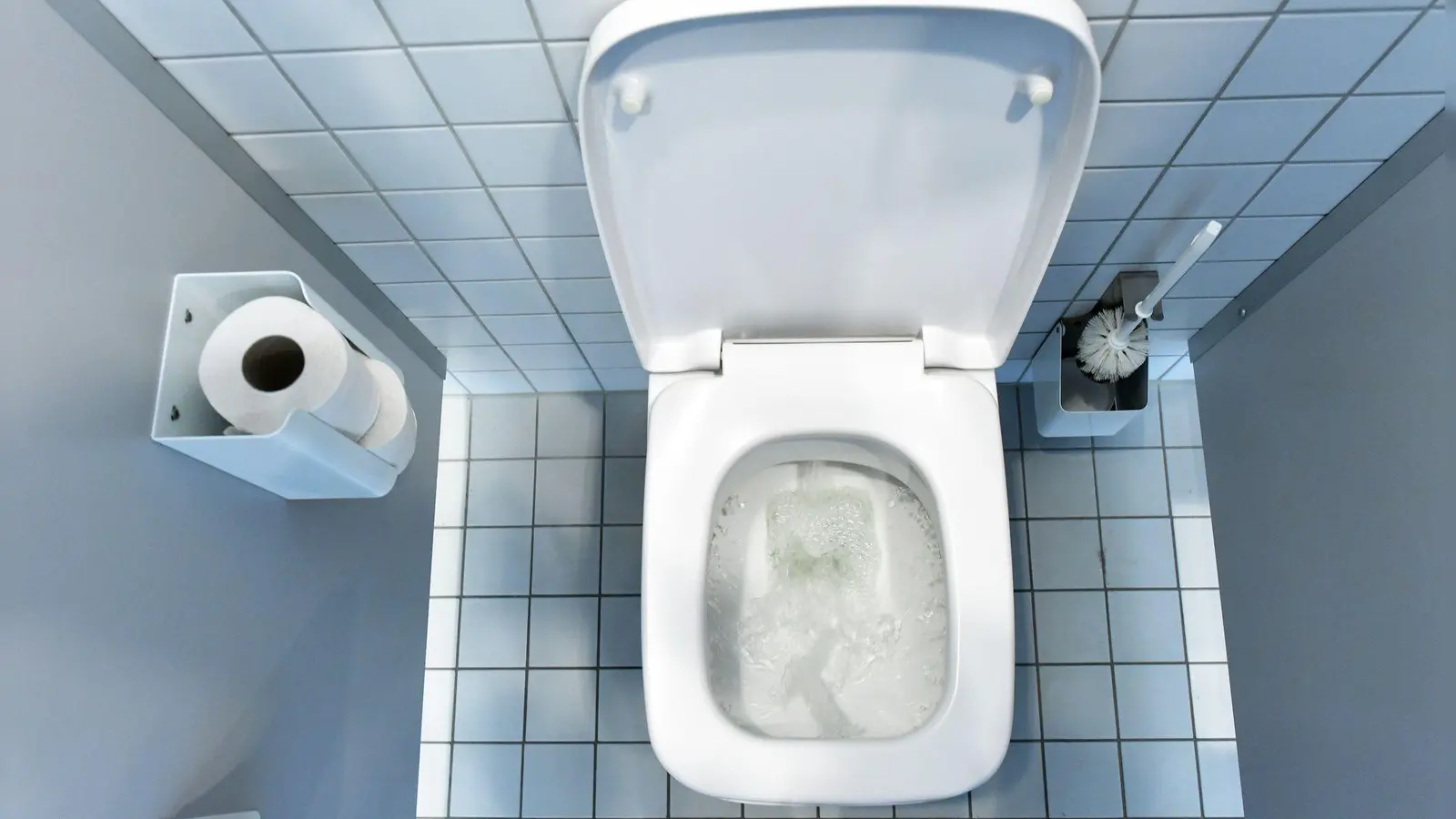 WC-Bürste, Toilettenpapier und Papierhalter: Ein WC am Arbeitsplatz muss bestimmte Mindestanforderungen erfüllen. (Foto: picture alliance / ZB)