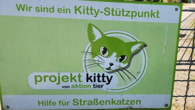 „Projekt Kitty” im Tierheim Unternesselbach wird zwar vom Begründer „aktion tier e.V.” unterstützt, wird aber rein aus privaten Mitteln finanziert und organisiert (Foto: Lisetta Jan)