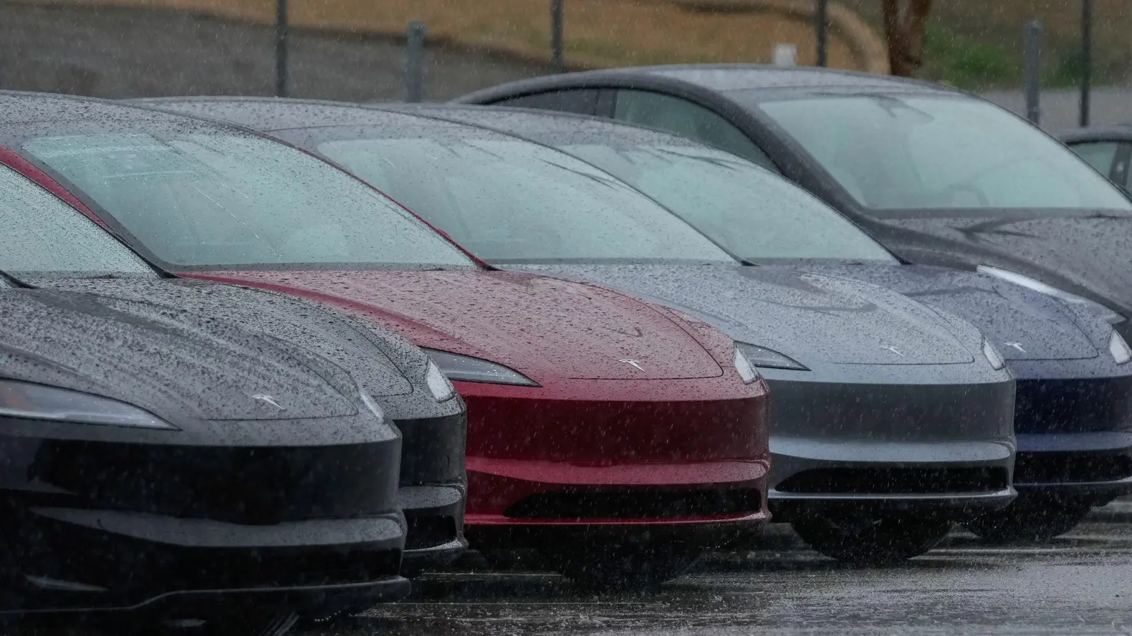 Tesla steht derzeit in Sachen Beliebtheit im Regen. (Archivbild) (Foto: Godofredo A. Vásquez/AP/dpa)