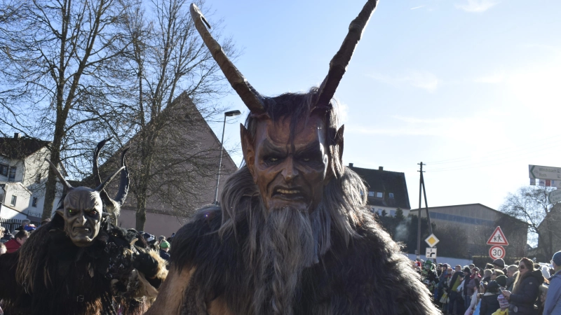 Faschingsumzug in Wolframs-Eschenbach. (Foto: Christina Özbek)