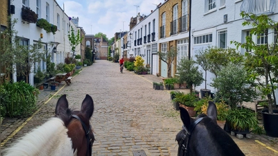 Die Hyde Park Gardens Mews: früher das Zuhause der Pferde und Bediensteten - heute gefragte Immobilien.  (Foto: Dörte Nohrden/dpa-tmn)