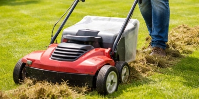 Guter Zeitpunkt: Im Frühjahr sollte der Rasen gut gepflegt werden, etwa mit einem guten Vertikutierer aus dem örtlichen Fachhandel. (Foto: Pixabay)