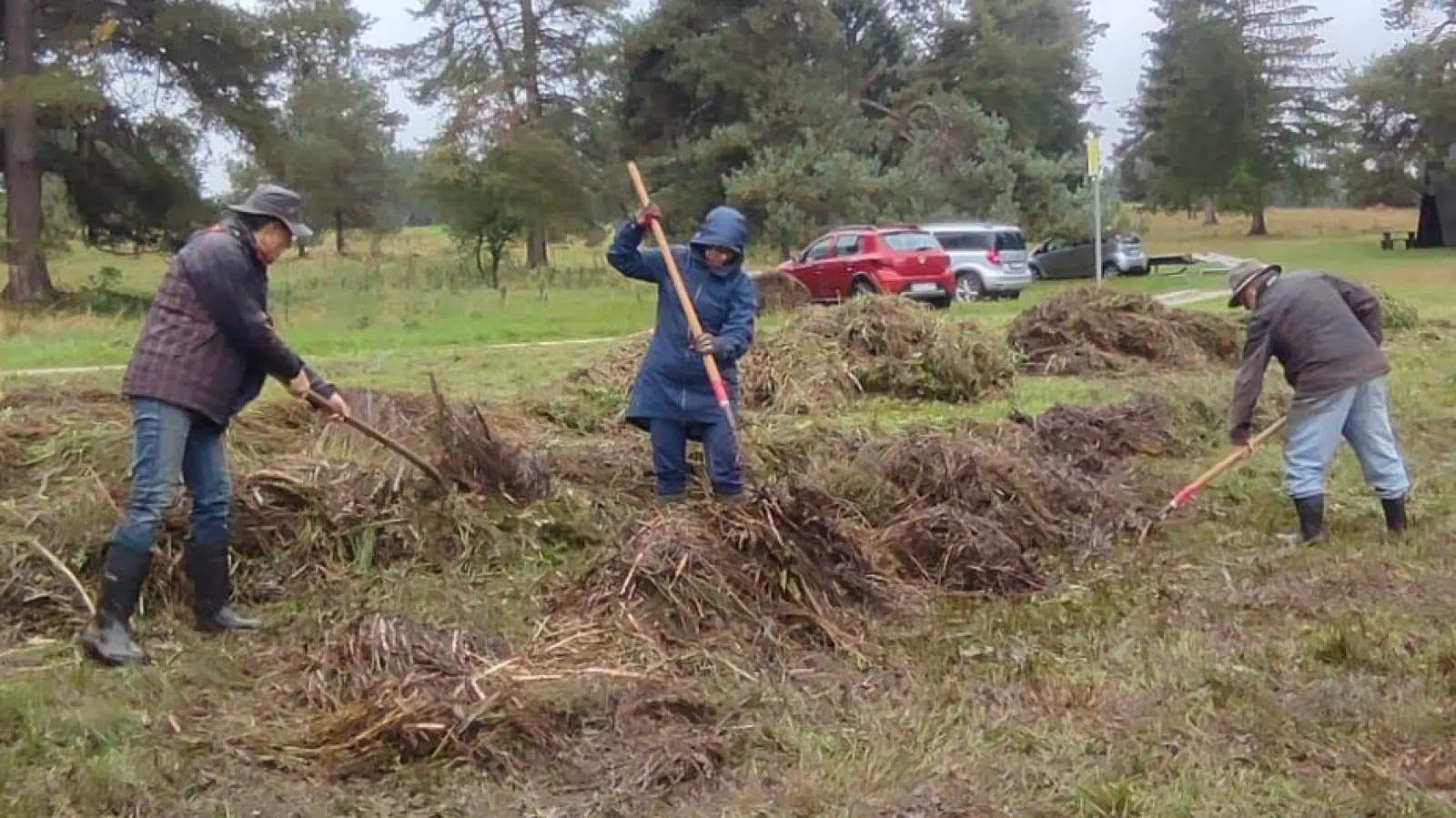 Die Mahdtechnik und -häufigkeit haben einen erheblichen Einfluss auf die Artenvielfalt in Wiesen und Grünflächen. Hier packen Freiwillige mit an. (Foto: Michael Körber )