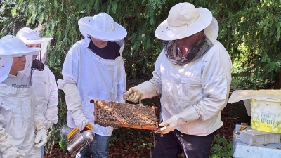 Die Schülerinnen und Schüler der Edith-Stein-Realschule kontrollieren zusammen mit Hausmeister und Imker Herbert Feist die Bienenstöcke. (Foto: Irma Bogenreuther)